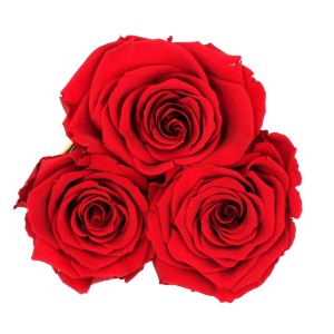 Rosenbox Herz mit 3 roten Rosen. Romantischer Blumenstrauß als Geschenk.