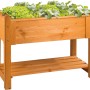 Wilk Hochbeet Premium, 113 cm, honigbraun, bepflanzt mit Salat. Holz-Hochbeet mit Ablage für Gartenutensilien.