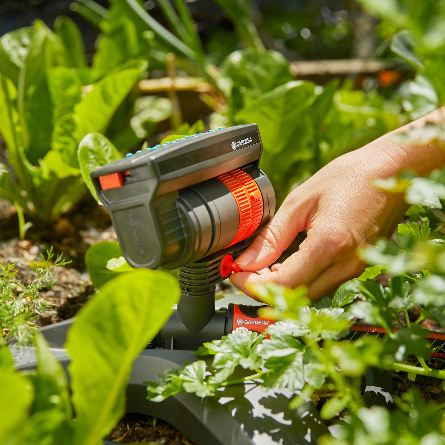 Gardena Aqua Zoom Compact Viereckregner im Einsatz, präzise Bewässerung im Garten.