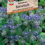 Sperli Borretsch Gurkenkraut Samen mit blauen Blüten.