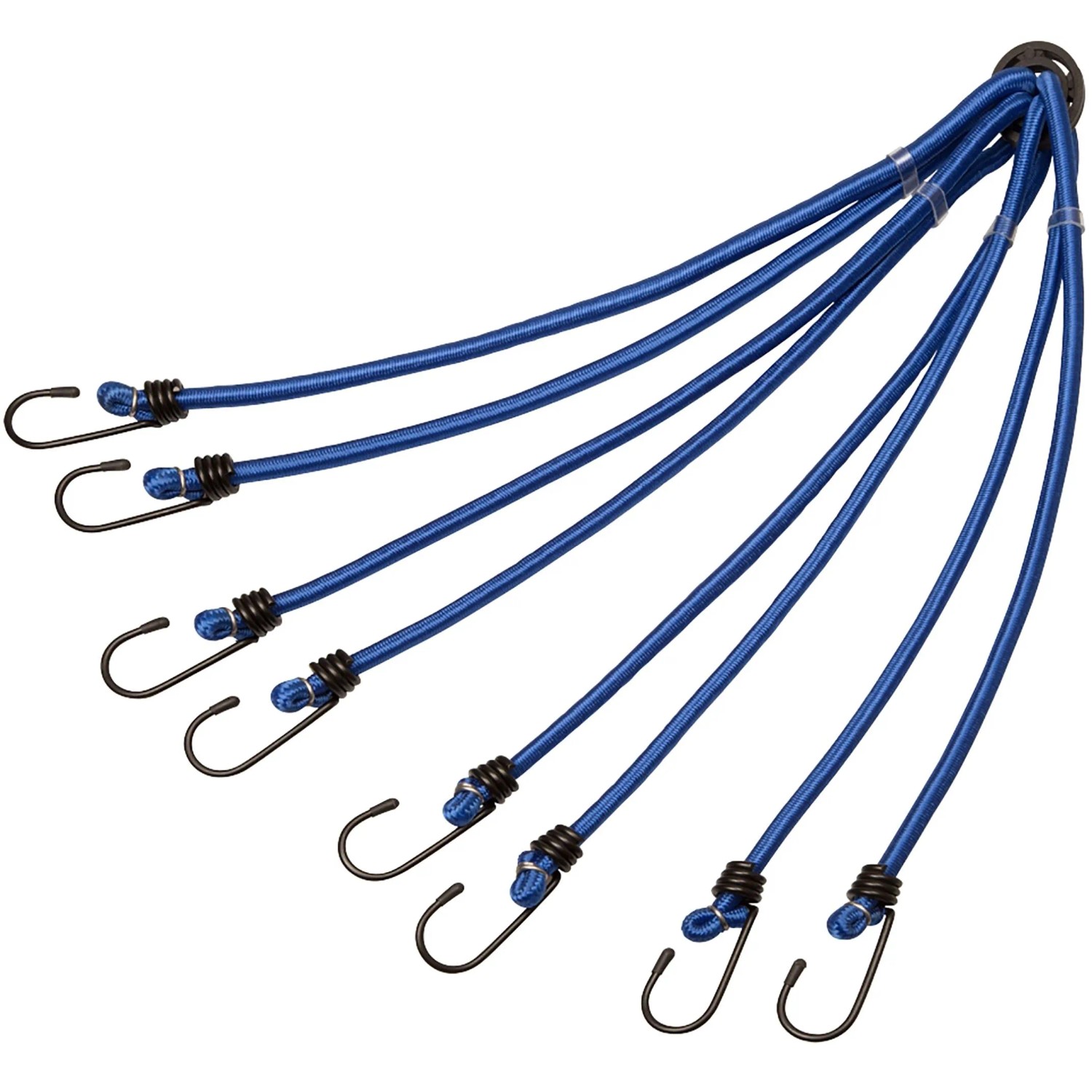 Conacord Gepäckspinne Gummi 8-armig mit Stahlhaken Ø 8 mm Länge 80 cm Blau