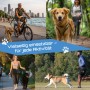 Petsation Joggingleine mit Bauchgurt im Einsatz: Radfahrer, Spaziergänger, Jogger mit Hund.