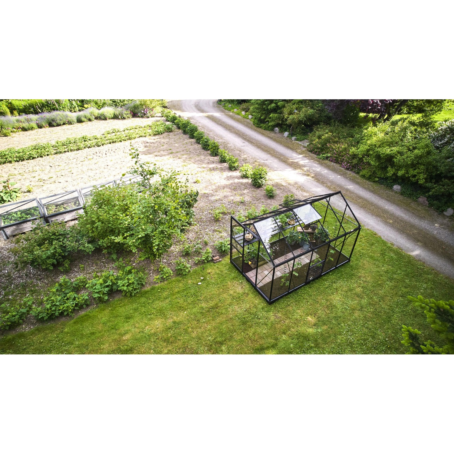 Schwarzes Halls Gewächshaus Popular 6,2 m² im Garten, mit Pflanzen und geöffneten Dachfenstern.