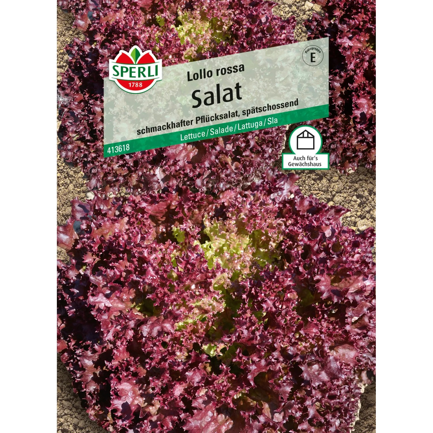 Sperli Pflücksalat "Lollo Rossa"
