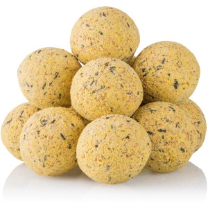 Meisenknödel, 100 Stück, ohne Netz: Fettfutter für Wildvögel mit Samenmischung.