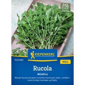 Kiepenkerl Rucola Wildfire Samen: Scharfe Rucola für Beet, Topf und Hochbeet.