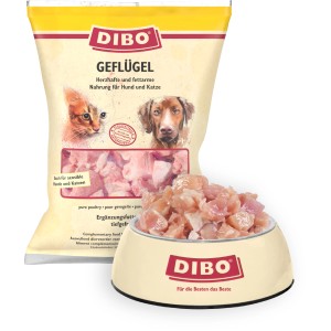 Dibo Geflügel Barf- und Frostfutter für Hunde und Katzen, 500g Packung und Schale mit Geflügelfleisch.