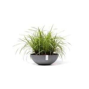 Ecopots Pflanztopf Vienna, grau, 50 cm. Blumenkübel mit grüner Pflanze.