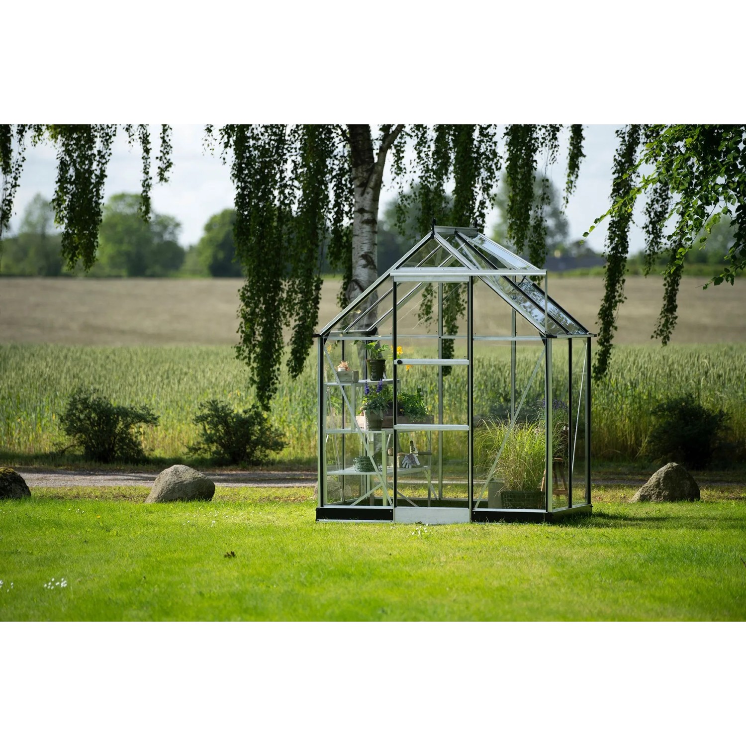 Halls Gewächshaus Icon 6 Alu 2,5 m²