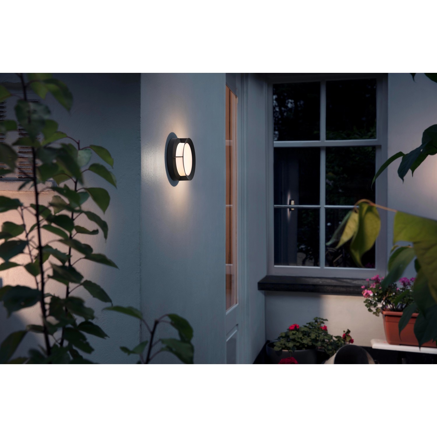 Philips myGarden LED Außenwandleuchte Actea, Schwarz günstig online kaufen