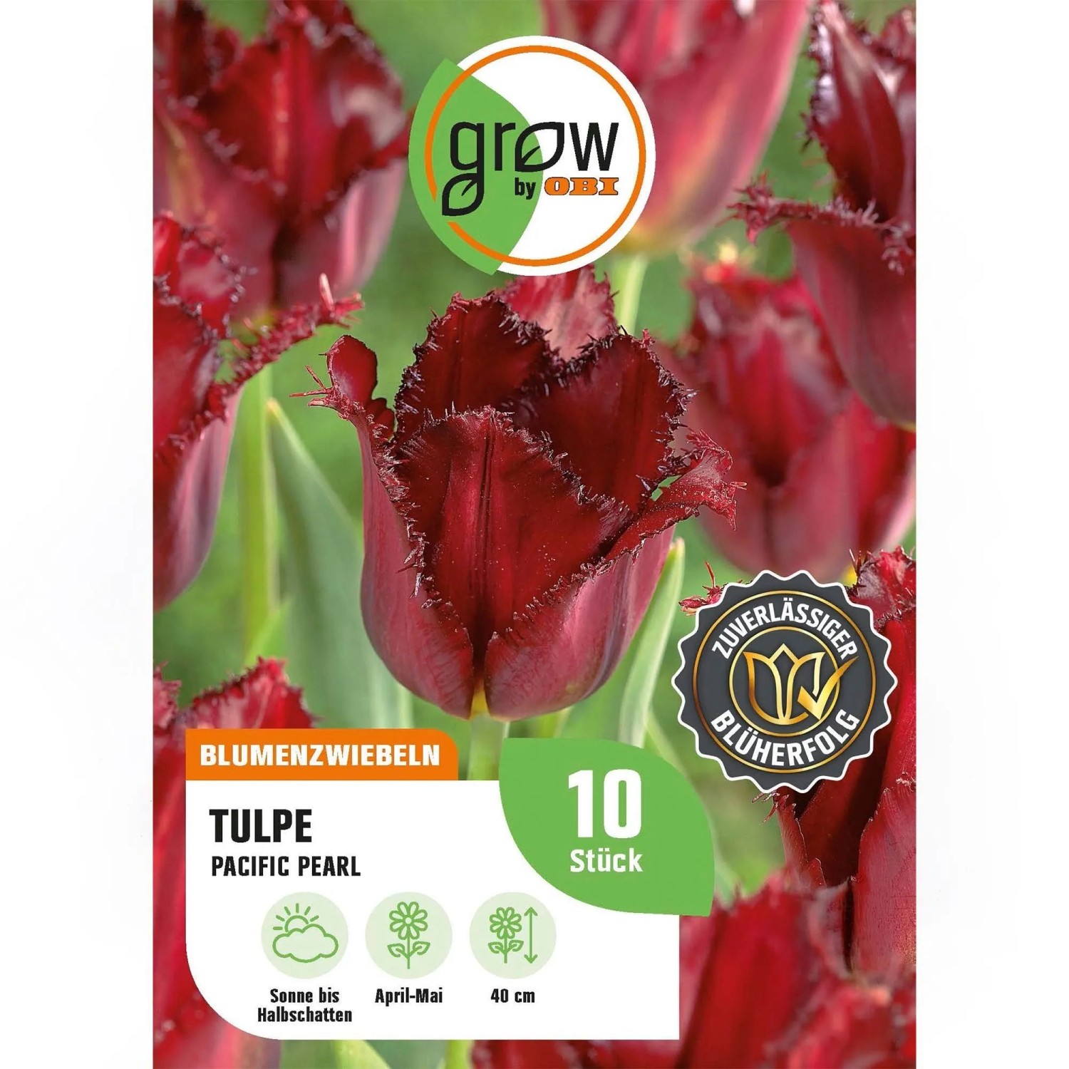 GROW by OBI Tulpe Pacific Pearl Rot 8 Stück Tulipa fringed Pacific Pearl