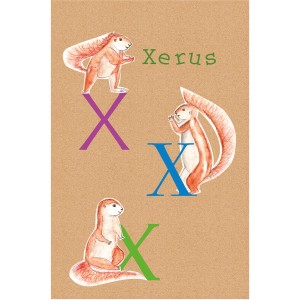 Komar Wandbild ABC Animal X, 30x40 cm, mit Illustrationen von Erdhörnchen und dem Buchstaben X.