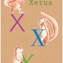 Komar Wandbild ABC Animal X, 30x40 cm, mit Illustrationen von Erdhörnchen und dem Buchstaben X.