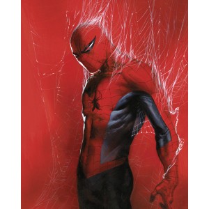 Komar Wandbild Marvel Spider-Man Through the Spider Web 40 cm x 50 cm Rot