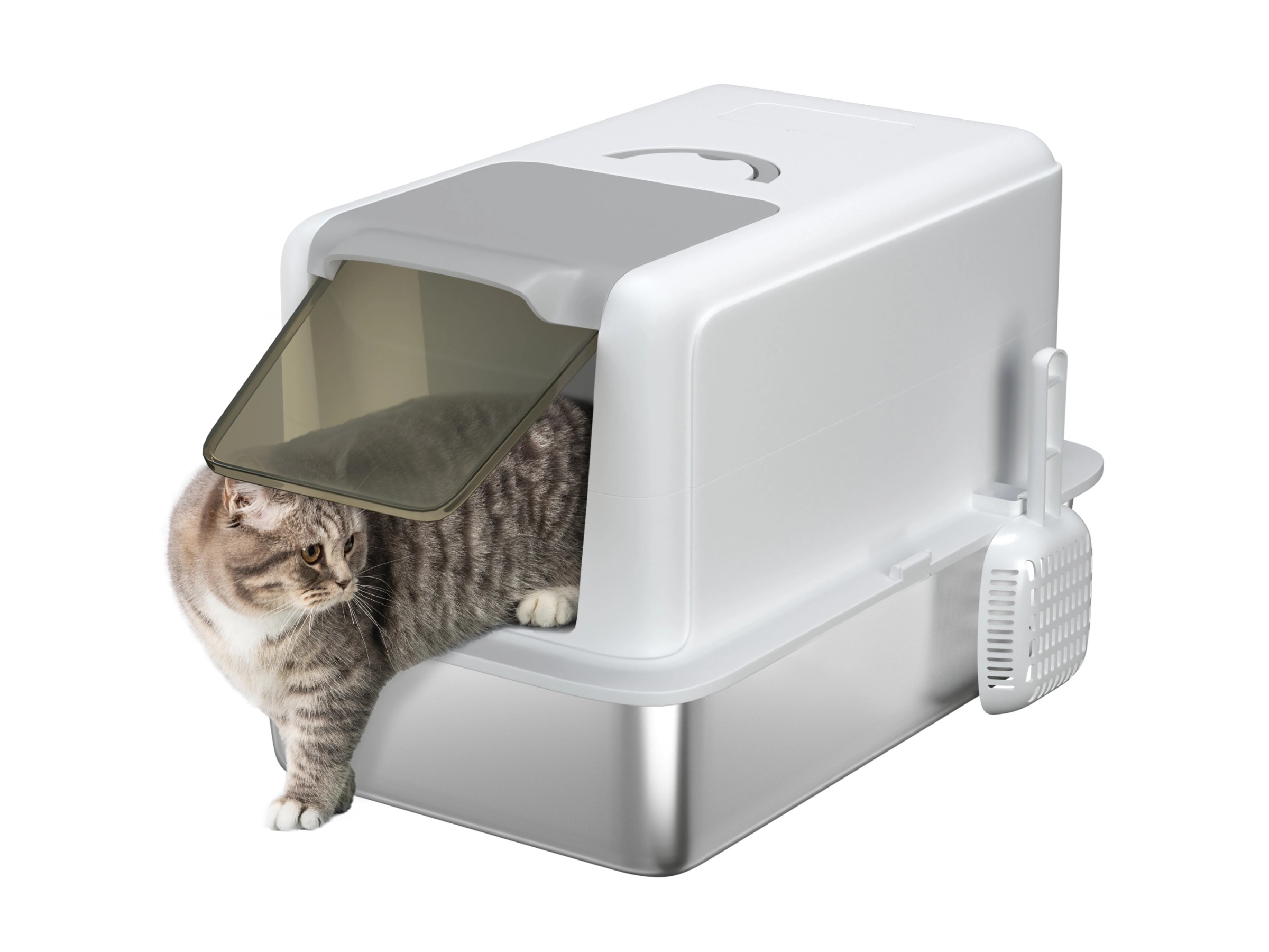 PTLOM Edelstahl Katzentoilette - 40cm Hoher Rand Gegen Streu-Verlust