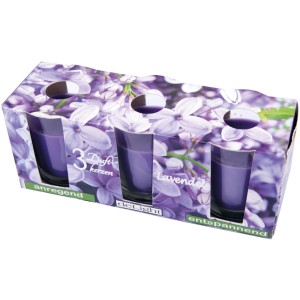 HS Candle Duftkerzen Classic, 3er Pack Lavendel im Karton mit Lavendelblüten.