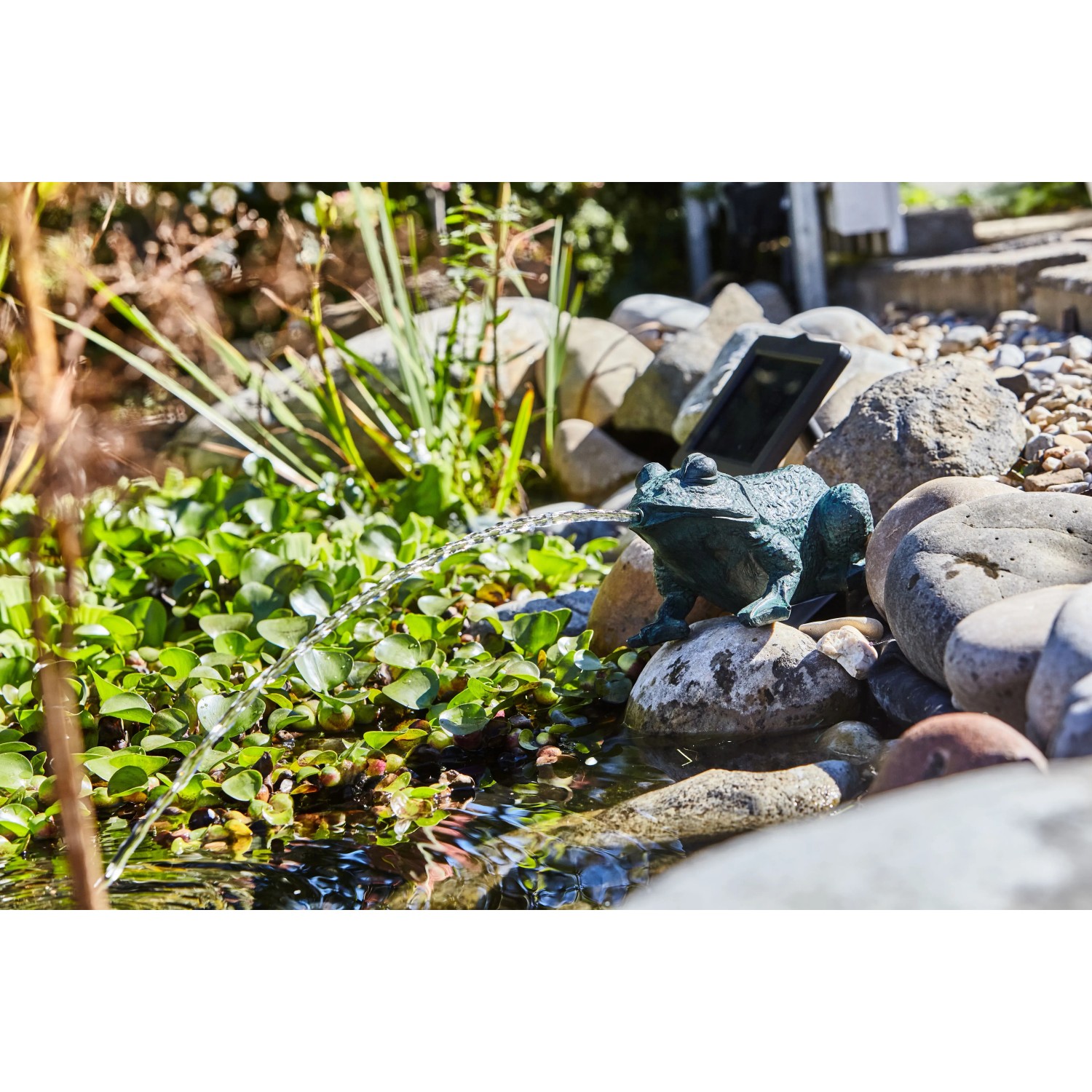 Heissner Teichfigur Frosch Solar Set mit Pumpe im Gartenteich, Wasserfontäne und Solarpanel.