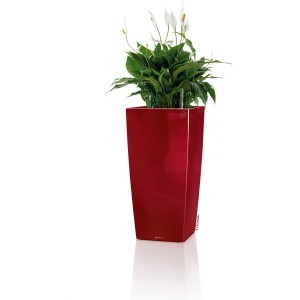 Hochglanz rote Lechuza Pflanzsäule Cubico Premium, 50x50 cm, mit Pflanze.