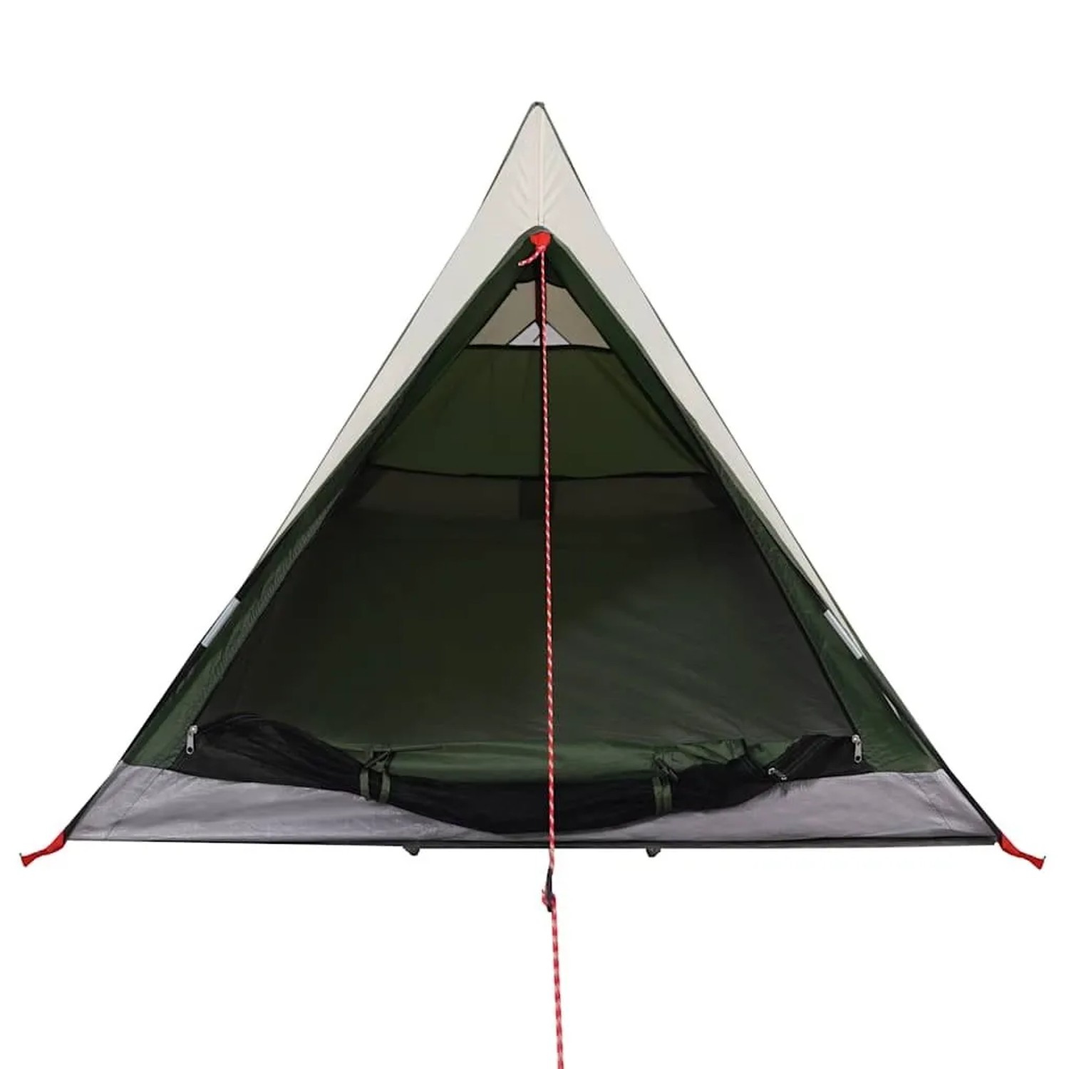 vidaXL Campingzelt 2 Personen Grün Wasserfest 94362_5