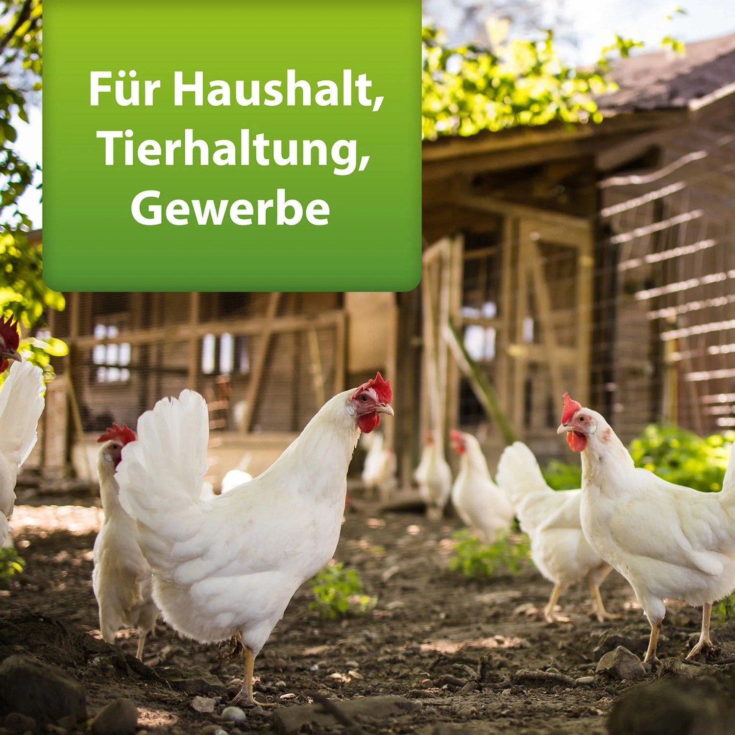 Hühner vor Stall: Ardap Repell Milbenspray für Haushalt, Tierhaltung und Gewerbe.