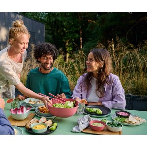 Mepal Silueta Schalen 250ml 4er Set Nordic Black beim Picknick mit Freunden.