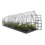 Klasika Gewächshaus 20m² mit Polycarbonat, 4 Dachfenster, offene Tür. Ideal für den Pflanzenanbau.