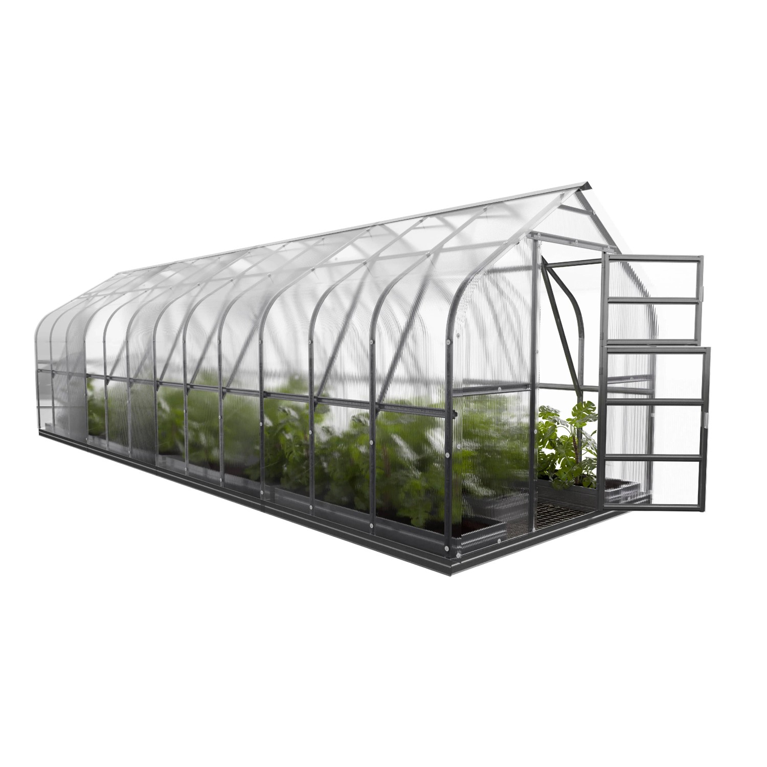 Klasika Gewächshaus 20m² mit Polycarbonat, 4 Dachfenster, offene Tür. Ideal für den Pflanzenanbau.
