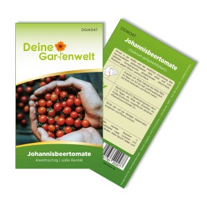 Samenpackung Johannisbeertomaten: Hände halten rote Mini-Tomaten. Süße, robuste Sorte für den Garten.