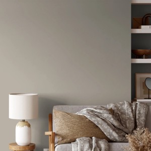 Wand in Grau-Beige mit V&CO Premium-Innenfarbe Dead Flat Matt Farbton 2 Gewöhnliches Greige, 2,5 l.