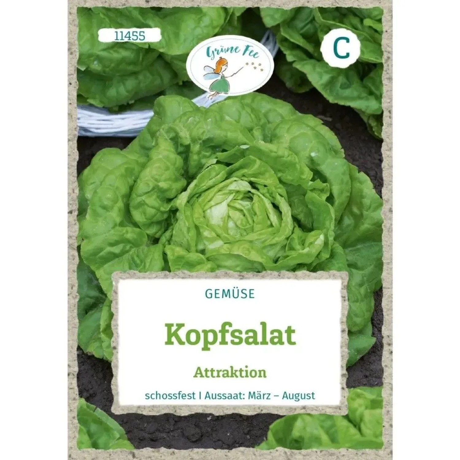 Grüne Fee Kopfsalat Attraktion Saatgut