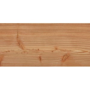 Abschluss-Element Forsdal aus Lärche Natur für Sichtschutzzaun, 200x7x4,5cm.