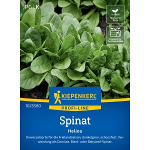Kiepenkerl Spinat Helios F1-Hybride: Saatgut für resistenten, ertragreichen Spinat mit dunkelgrünen Blättern.
