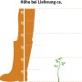 Illustration der Lieferhöhe der Kegelzypresse Ellwoodii (10-20cm) im 2l Topf.