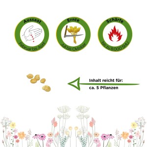 Grafik: Deine Gartenwelt Chili Jalapeno Samen – Aussaat, Ernte, Schärfe und Inhalt für ca. 5 Pflanzen.