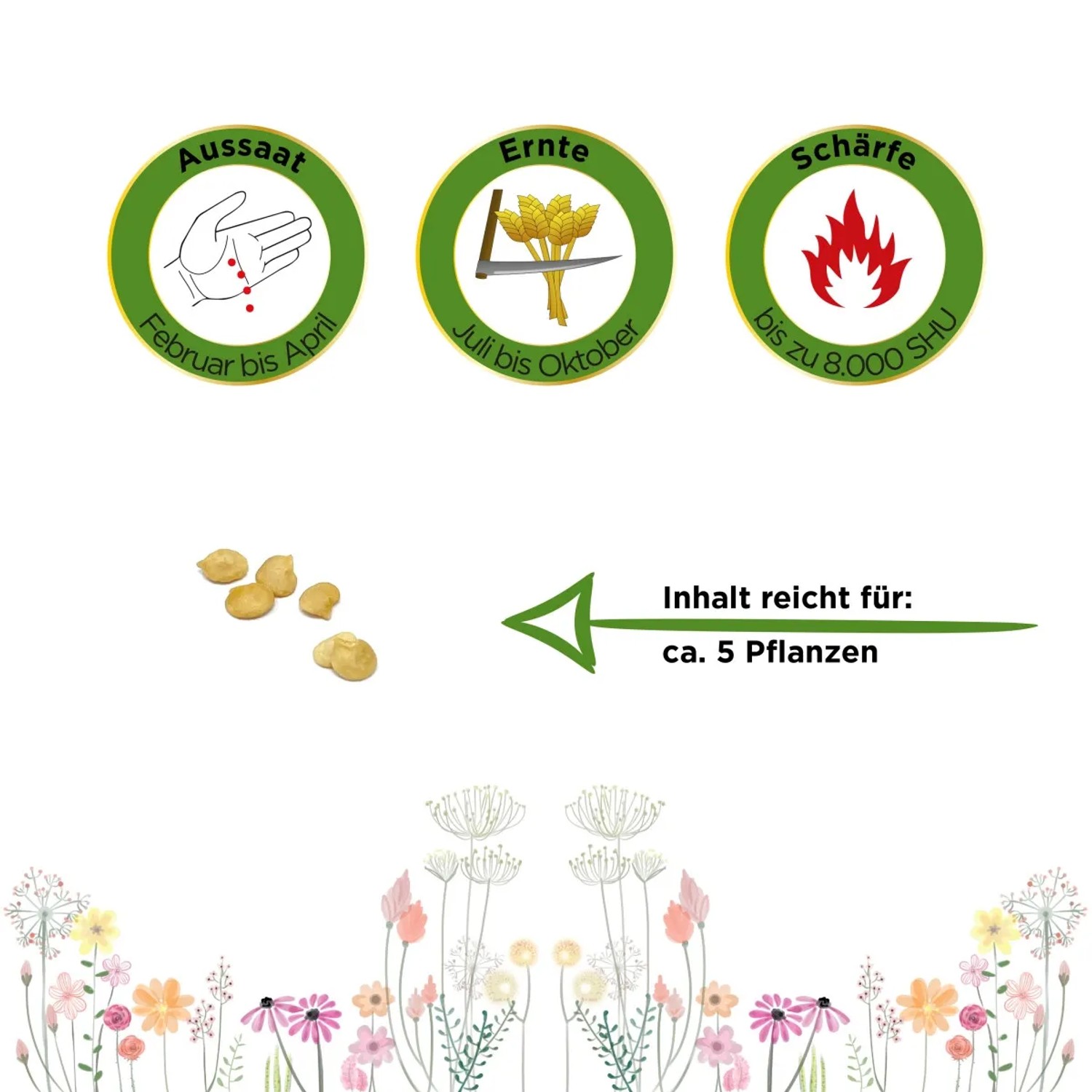 Grafik: Deine Gartenwelt Chili Jalapeno Samen – Aussaat, Ernte, Schärfe und Inhalt für ca. 5 Pflanzen.