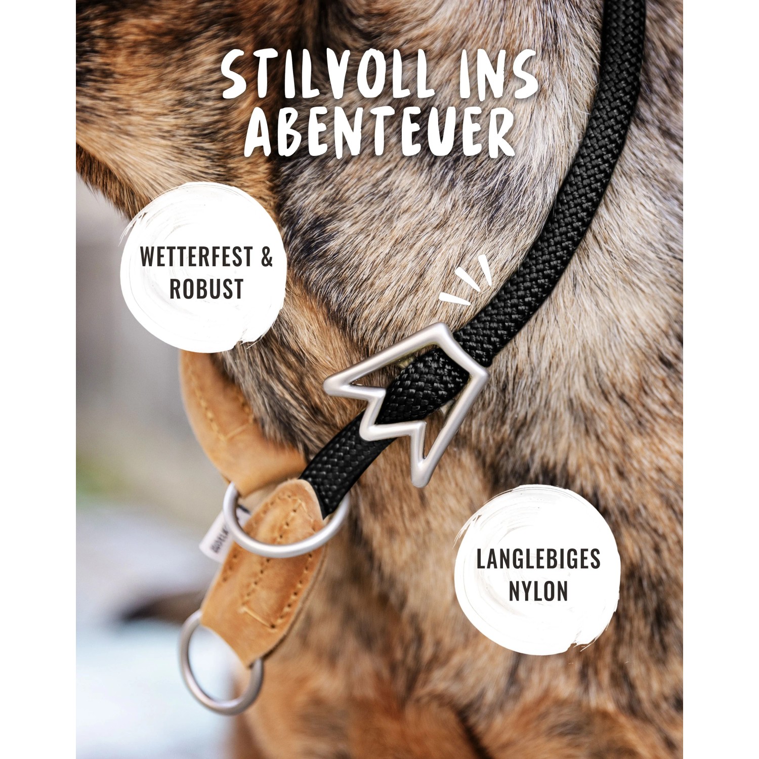 Schwarzes Rudelkönig Zugstopphalsband aus Nylon für Hunde, Größe 4, mit Lederdetails.