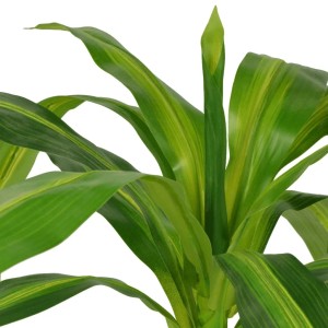Künstlicher Drachenbaum im Topf, 100 cm hoch, grüne Blätter mit gelben Streifen.