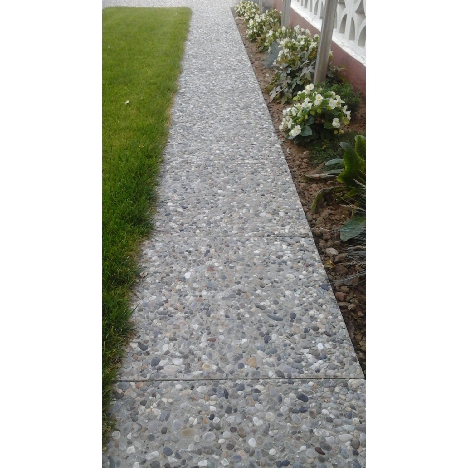 Verlegter Gehweg aus Waschbetonplatten Buntkies, 40x40 cm, mit Rasen und Blumen