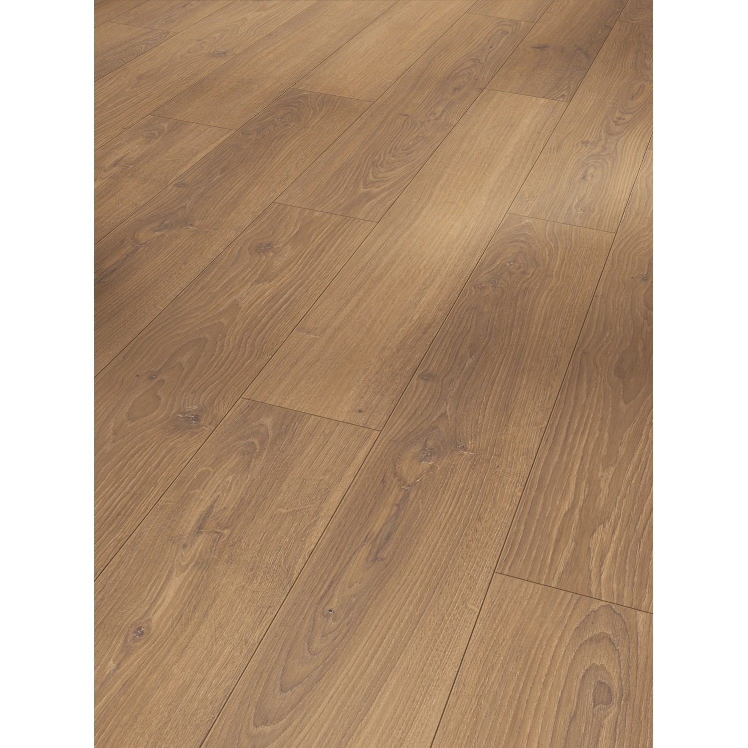 Parador Laminat Classic 1050 Eiche Studioline Honig Naturmattstruktur