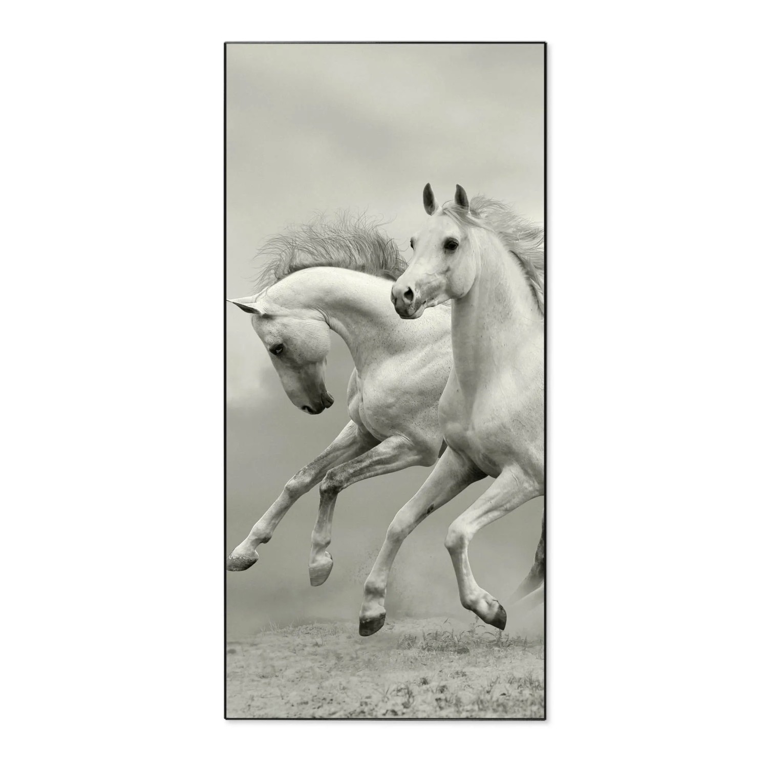 Banjado Magnettafel 37x78cm Magnetwand  Schwarz Aus Metall Magnetpinnwand P günstig online kaufen