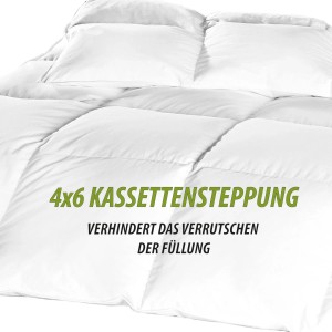 Bestlivings Daunenbettdecke (135x200 cm) mit Kissen, 4x6 Kassettensteppung für gleichmäßige Füllung.