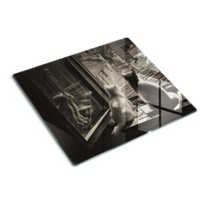Tulup Herdabdeckplatte 60x52 cm Schneidebrett aus Glas Küchenutensilien Spritzschutz Abdeckung Katzen im Fenster