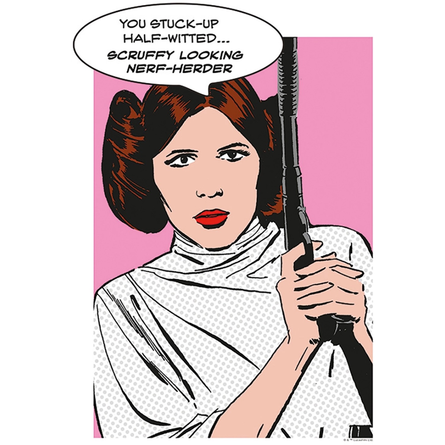 Disney Poster Star Wars Leia Orange und Grün 30 x 40 cm 611657 günstig online kaufen