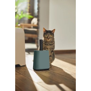 Rotho Biala Schaufel mit Halter in Mistletoe Green neben Katzentoilette und Katze.