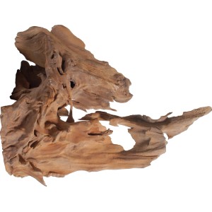 Sandgestrahlte Mangrove Dekowurzel XL für Aquarien, naturnahe Gestaltung.
