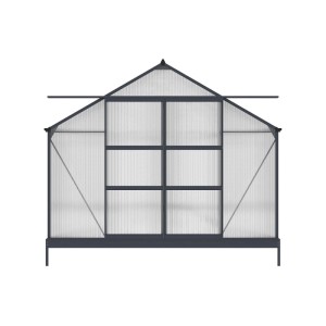 Vente-unique Selbsttragendes Gewächshaus Ixora Anthrazitgrau 303 cm