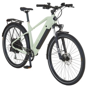 Prophete E-Bike ATB Stack 2.9 Herren, 29 Zoll, salbeigrün matt. E-Mountainbike mit Gepäckträger und Federgabel.