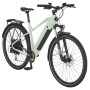 Prophete E-Bike ATB Stack 2.9 Herren, 29 Zoll, salbeigrün matt. E-Mountainbike mit Gepäckträger und Federgabel.
