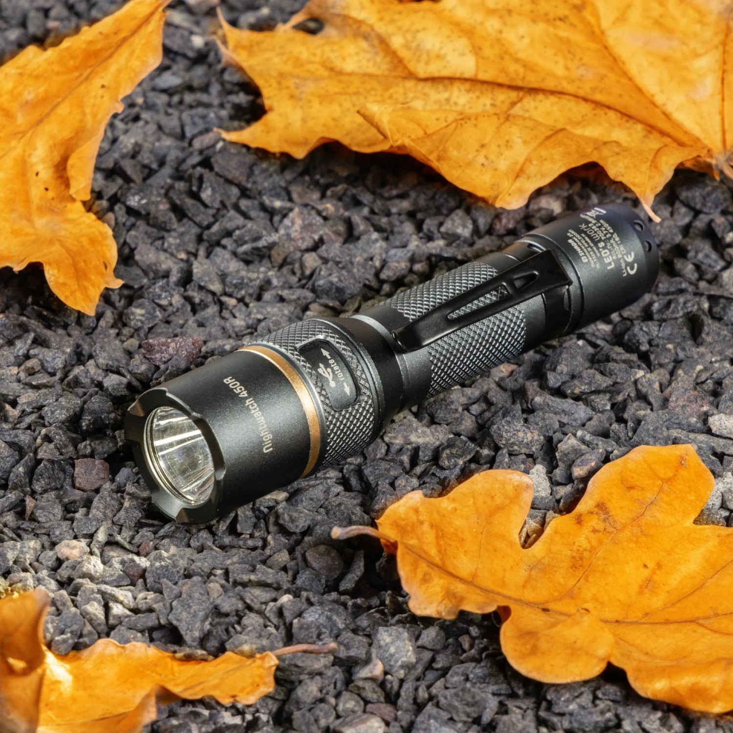 LED Akku-Taschenlampe, dimm- und zoombar, 450 Lumen, 5000K, IPX7, mit Clip auf Steinen und Blättern.