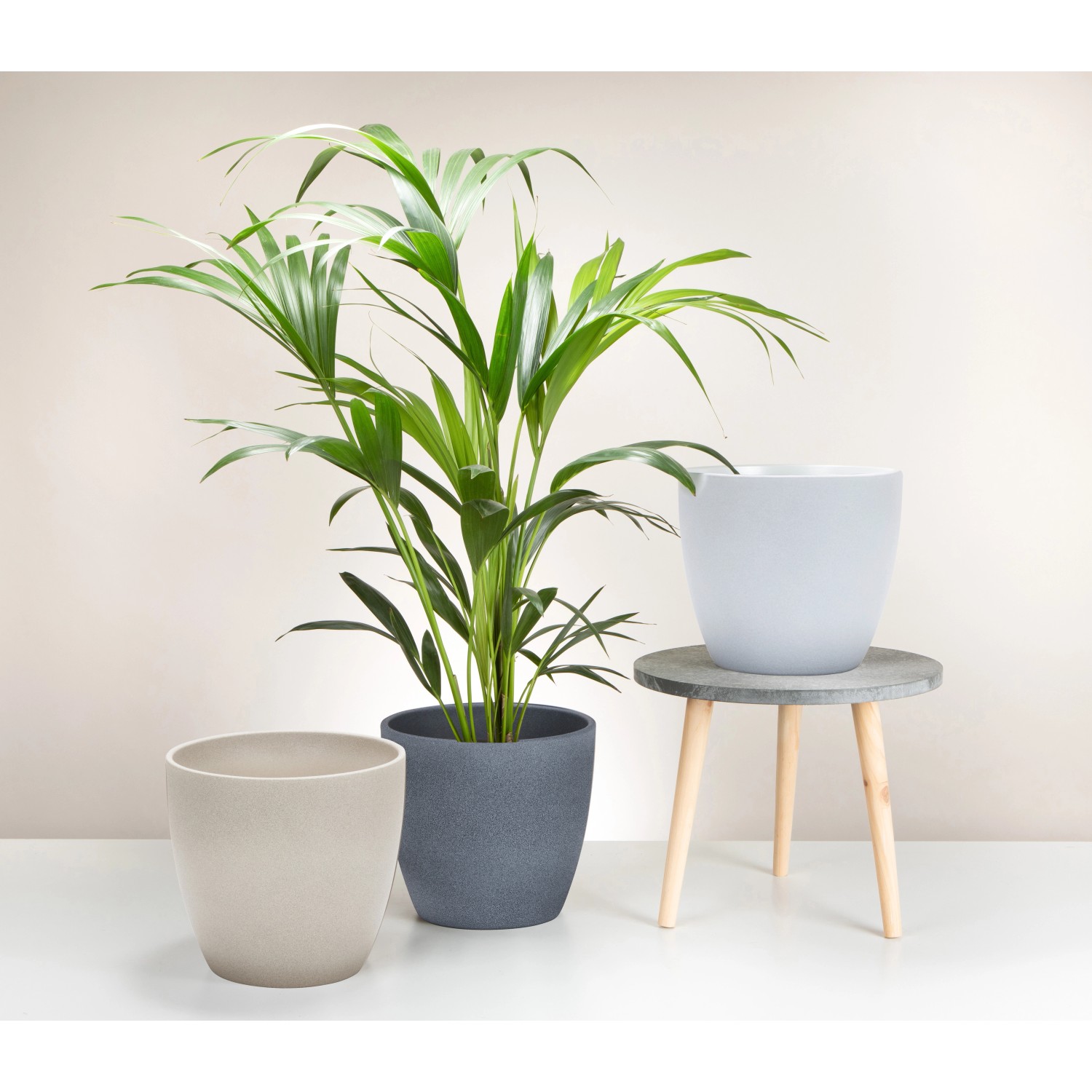 Scheurich Übertopf 920 in verschiedenen Farben und Größen. Keramik Übertöpfe für den Innenbereich.